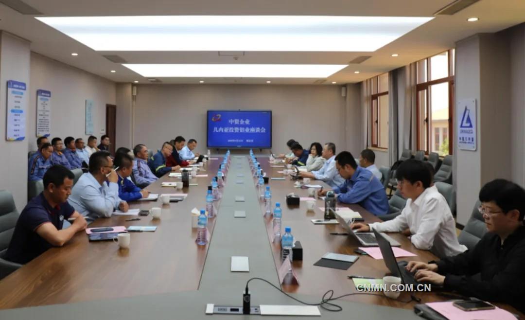 China Nonferrous Metals Industry Association holds Chinese Enterprises Guinea Investment Aluminum Sy